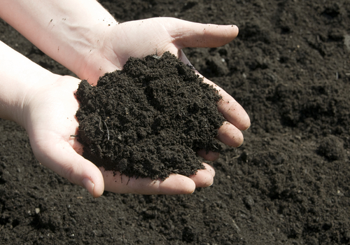 Topsoil Production